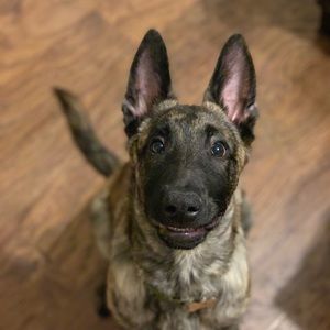 Meet your Posher, Larry